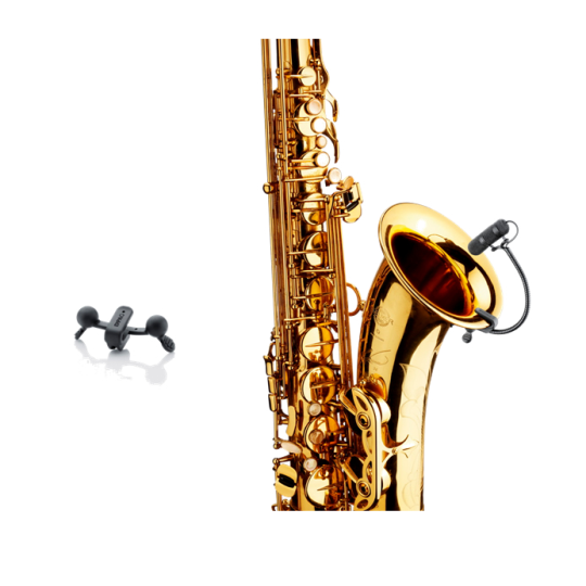 DPA 4099 X SAX
