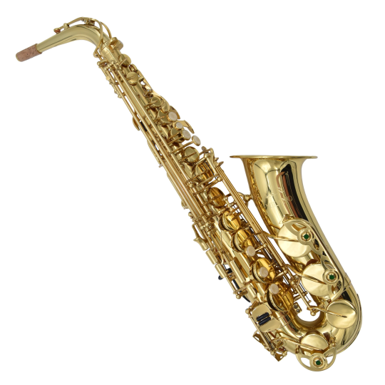 SAX ALTO RIPA LAR 30 SX