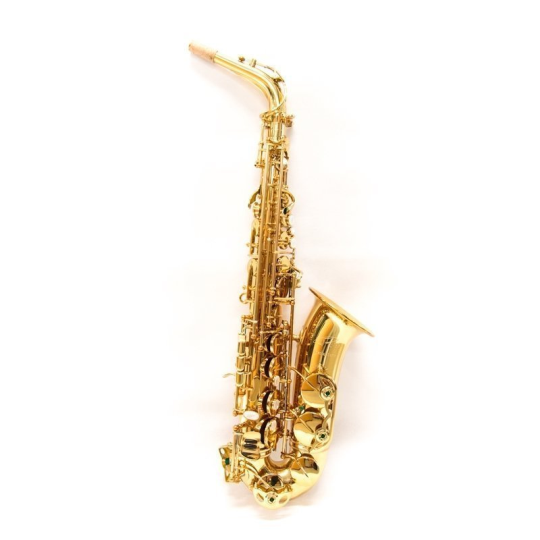 SAX ALTO RIPA SPECIAL SERIE 5030VFRGL-SS