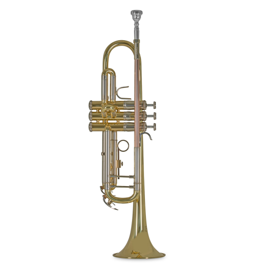 TROMBA BACH TR 501 LACCATA 