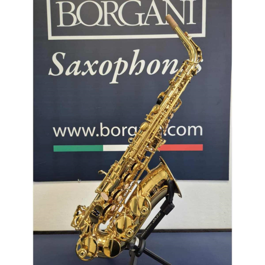 SAX ALTO ROYAL WIND THE ONE  RAS 30