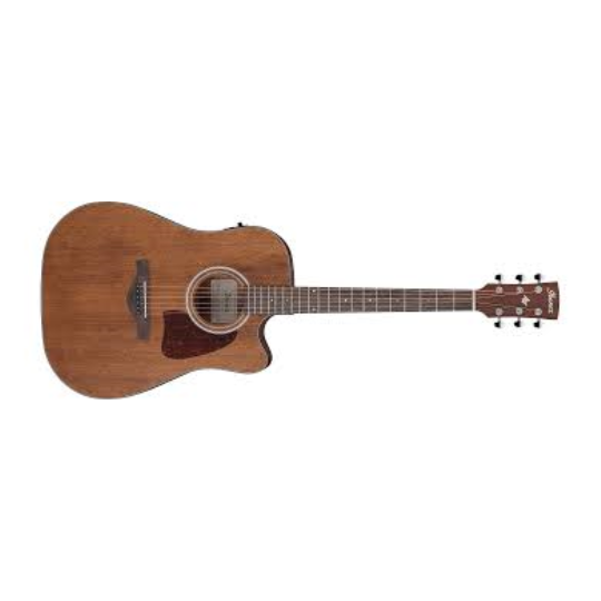  IBANEZ AW 54 CE OPN