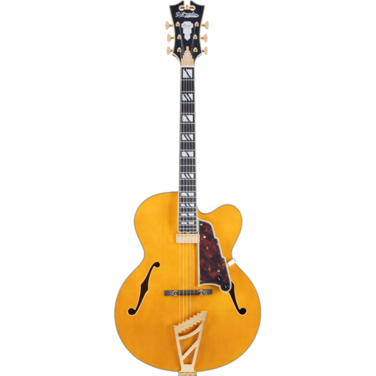 D'ANGELICO EXCEL EXL1 DARCK ICED TEA BURST