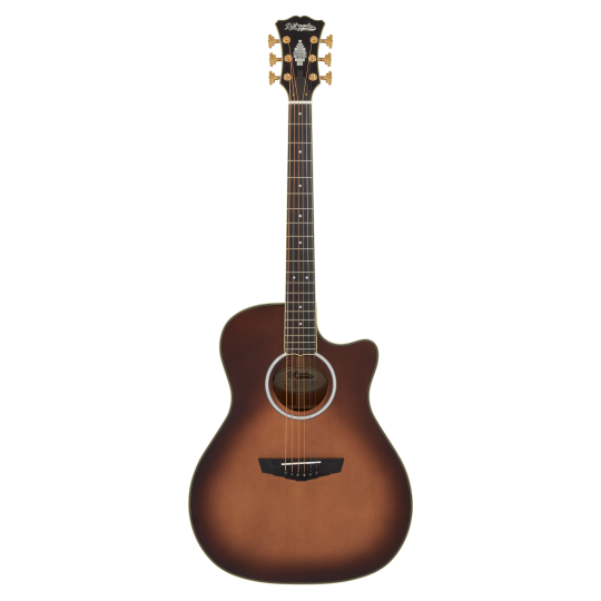  D'ANGELICO EXCEL GRAMECY AUTUMN BURST DAEG200ATBGP2