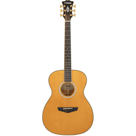 D'ANGELICO TAMMANAY VINTAGE SUNST