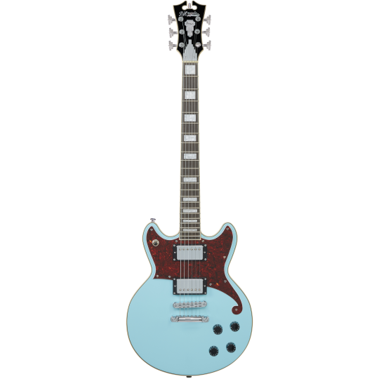  D'ANGELICO PREMIER BRIGHTON SK