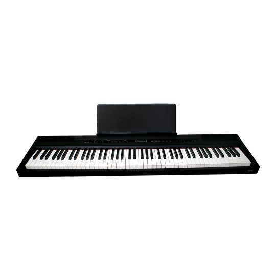  ECHORD SP 10 