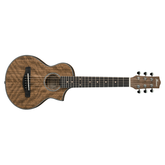 IBANEZ EWP 14 WB GUITAR LELE 