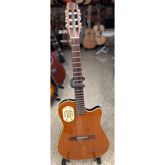 CHIT. CL. EL. GODIN PRE MULTIACT L.R. BAGGS 1990