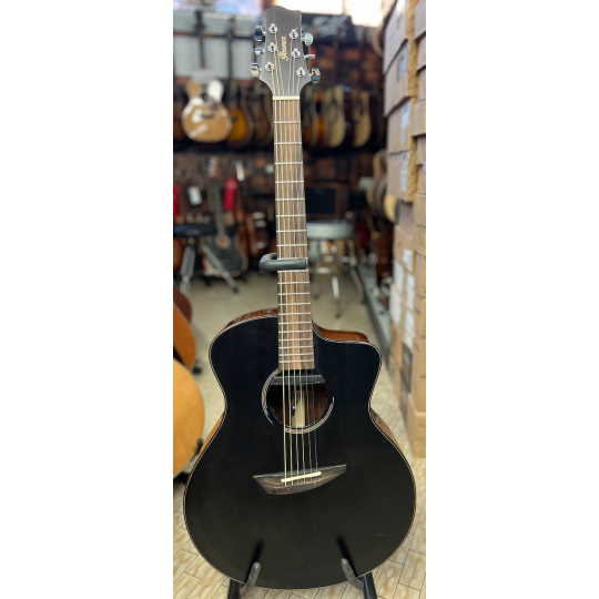IBANEZ JGM 10 BSN 
