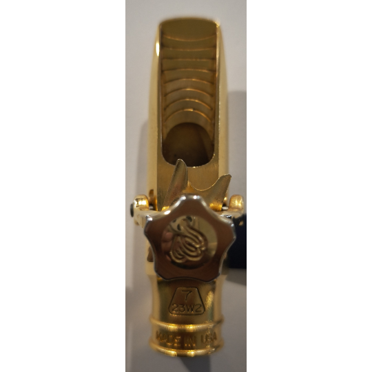 BOCCHINO SAX ALTO T. WANNE GAIA 7 GOLD