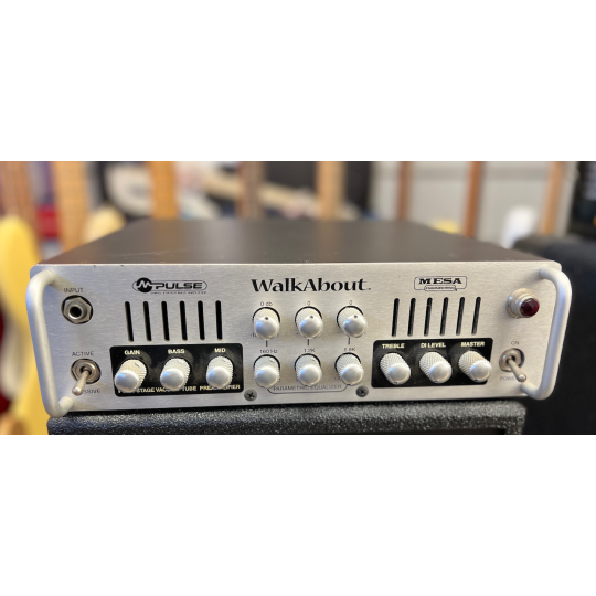 TESTATA MESA BOOGIE WALK ABOUT 