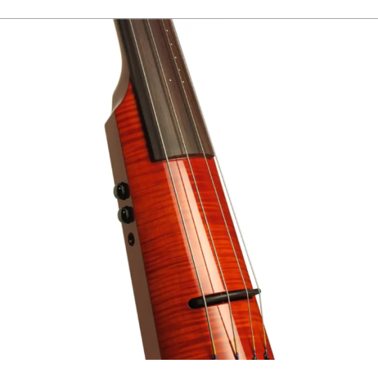 CONTRABBASSO NS DESIGN WAV4 AMBERBUST