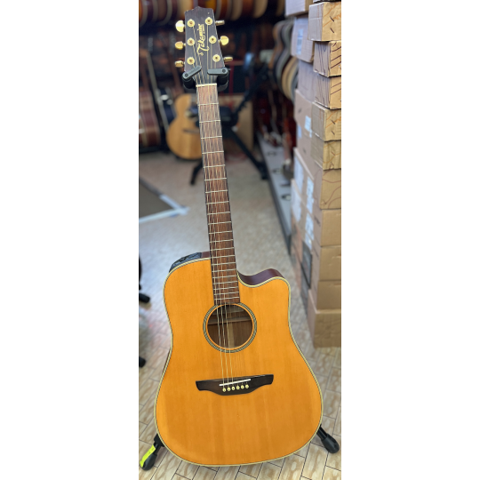TAKAMINE EG 10 C
