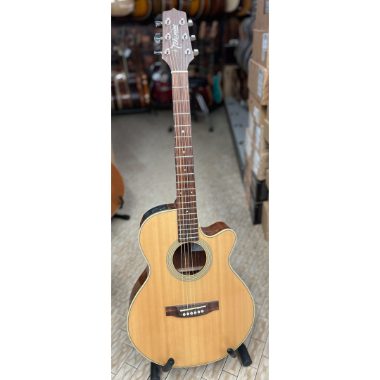 TAKAMINE EG 260 C