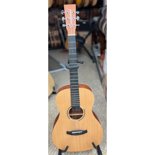 TANGLEWOOD TWR2 PE