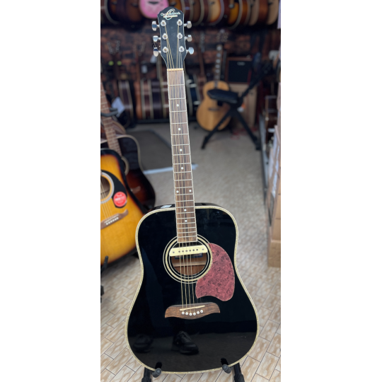 WASHBURN SCHMIDT c/pick up LRBAGGS