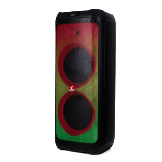AUDIO DESIGN DJ 212 S