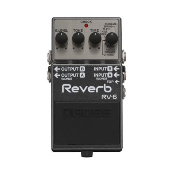 BOSS RV 6 REVERB           
