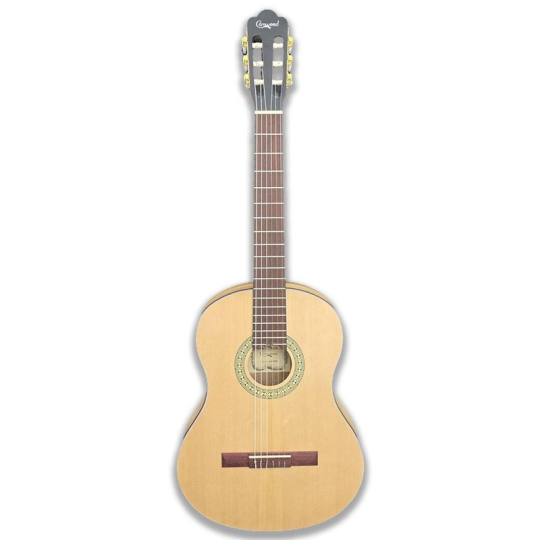  CAMWOOD IC 100 D NATURAL