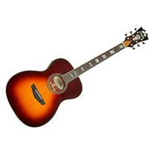 D'ANGELICO EXCEL TAMMANY SUNBURST
