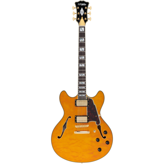  D'ANGELICO EXCEL DC ICED TEA BURST QUILT