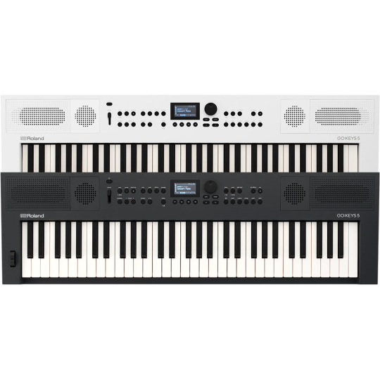 TASTIERA ROLAND GO KEY S 5 