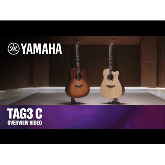 YAMAHA FG TAG 3