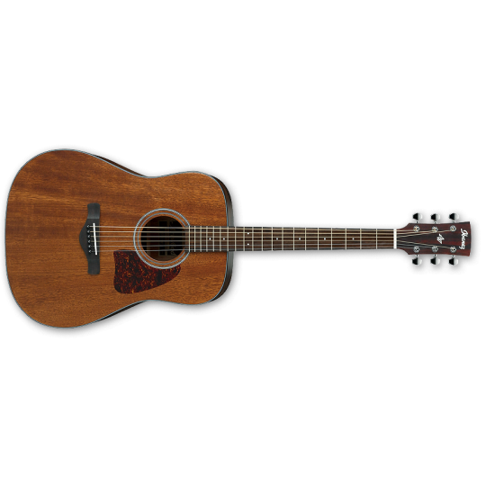 IBANEZ AW 54 L OPN