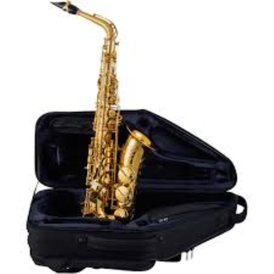 SAX ALTO SELMER SIGNATURE LACQUERED