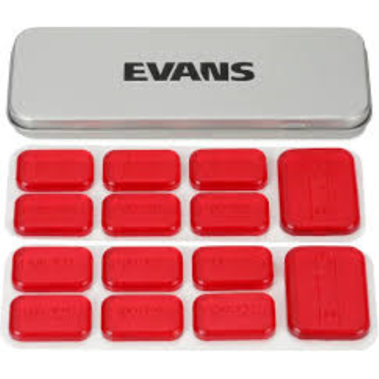 EQ PODS MINI EVANS