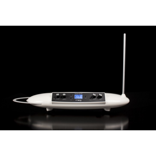 THEREMINI MOOG 