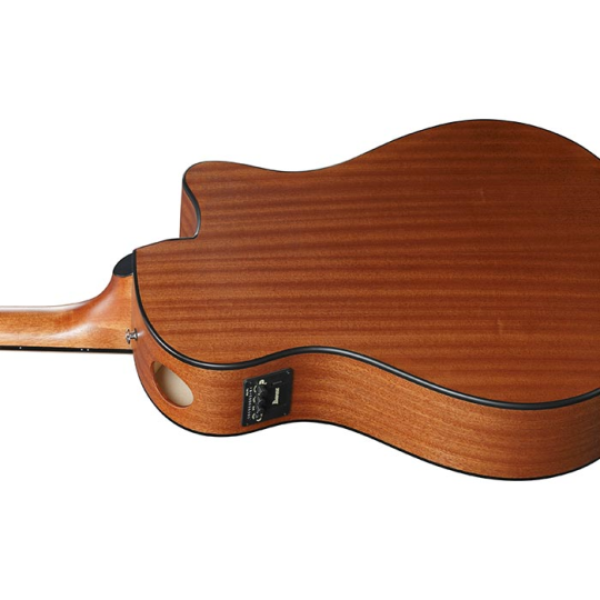  IBANEZ AAM 50 LCE OLB