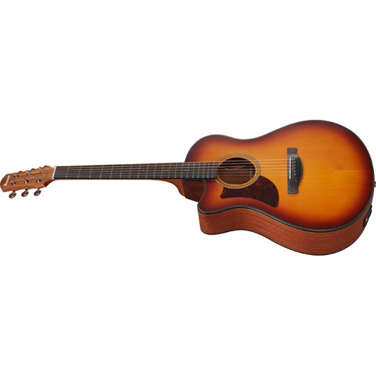  IBANEZ AAM 50 LCE OLB