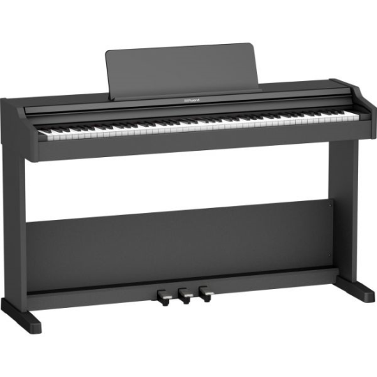  ROLAND RP 107 BKX