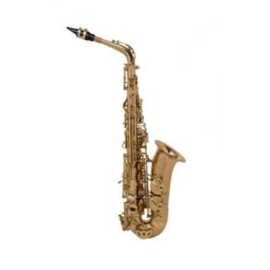 SAX ALTO GRASSI ACCADEMY GR ACAS100GL 