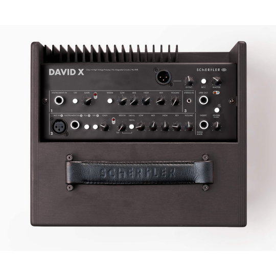 AMPLIFICATORE SCHERTLER DAVID X WOOD