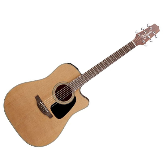 TAKAMINE P 1 DC 