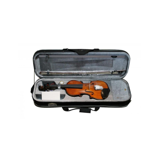 VIOLINO DOMUS LICEO 4/4