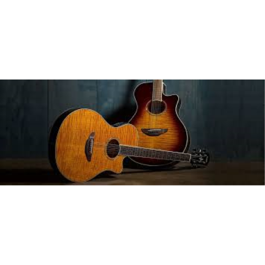  YAMAHA APX 600 FM