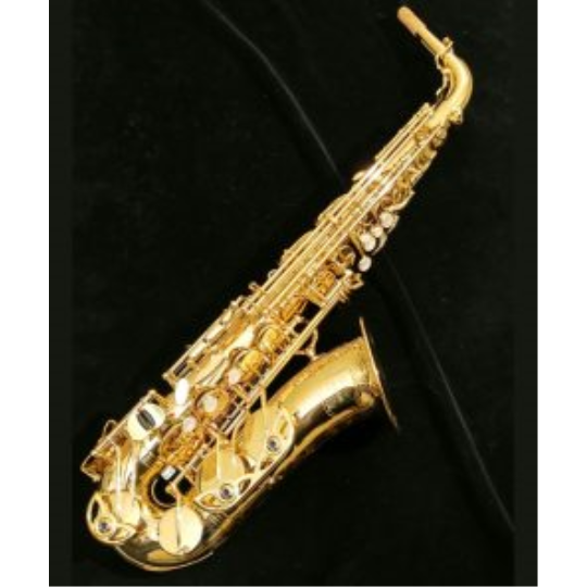 SAX ALTO YANAGISAWA A-WO10 ELITE